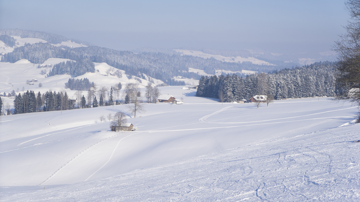 Winterwandern in Linden