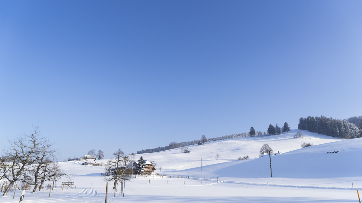 Winterwandern in Linden