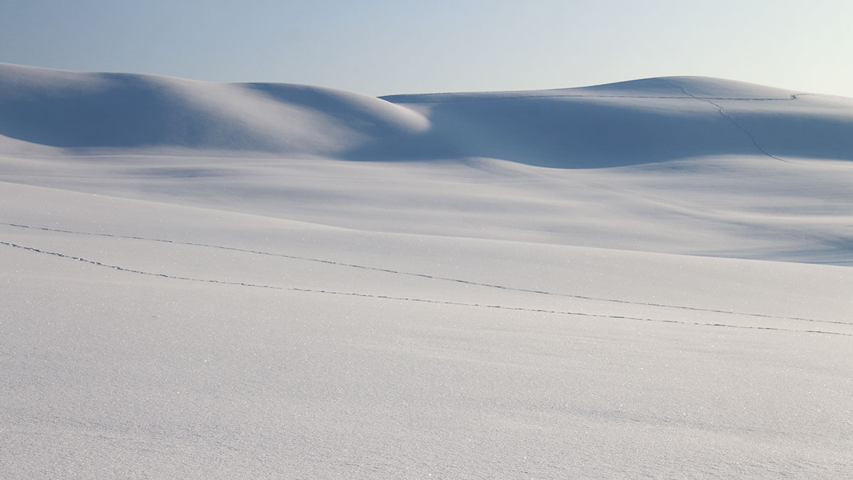 Winterwandern in Linden