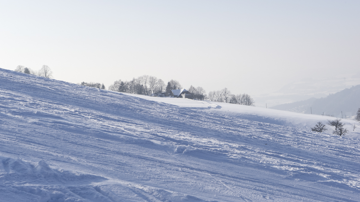 Winterwandern in Linden